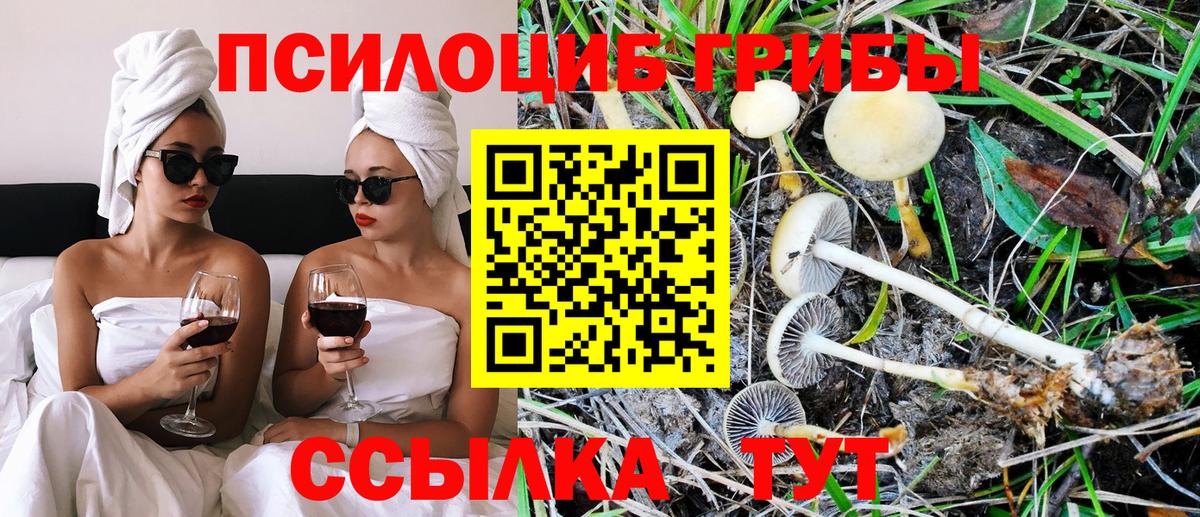 Барнаул  Псилоцибиновые грибы Magic Shrooms  Вход с VPN 